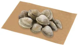 Service Case Farmed Steamer Clams - 1.75 Lb