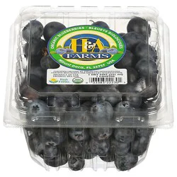 Organic Blueberries Prepacked