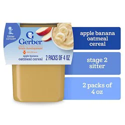 Gerber 2nd Foods Apple Banana With Oatmeal Baby Food Tub - 2-4 Oz