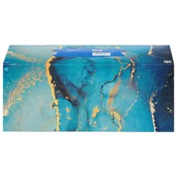Signature Select Facial Tissue Softly Soft Touch 2 Ply White Box - 160 Count