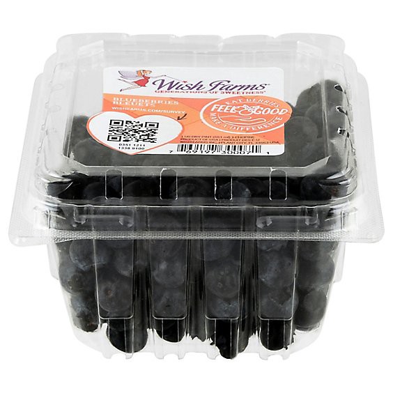 slide 1 of 1, Blueberries Prepacked, 16 oz