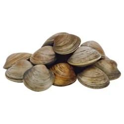 Littleneck Clams New Zealand Fresh - 1 Lb