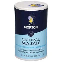 Morton Sea Salt Natural All Purpose - 26 Oz