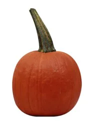 Red Kuri Squash