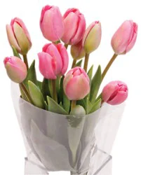 Tulips 9 Stem - Each (Colors May Vary)