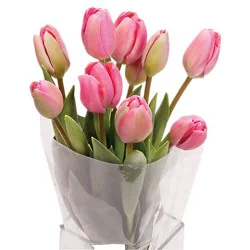 Tulips Bunch - Each (Colors May Vary)