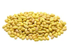 Peruvian Beans - 1 Lb