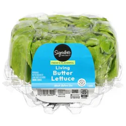 Signature Select/farms Living Butter Lettuce 1 Count