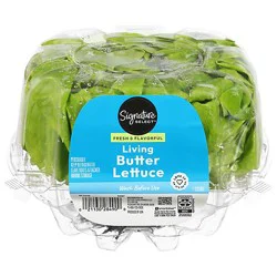 Signature Select/farms Living Butter Lettuce 1 Count