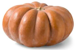 Fairytale Pumpkin Medium - Weight Between 3-4 Lb (Color May Vary)