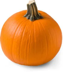 Orange Pie Pumpkin - Weight Between 4-5 Lb
