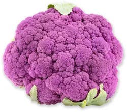 Purple Cauliflower