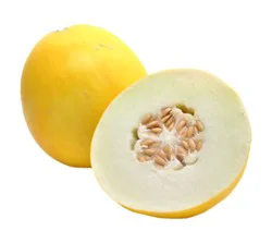 Golden Dewlicious Melon