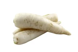 Organic Daikon Radish