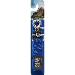 Cesar Millan Leash 60 Inch Large Ocean Pack - Each