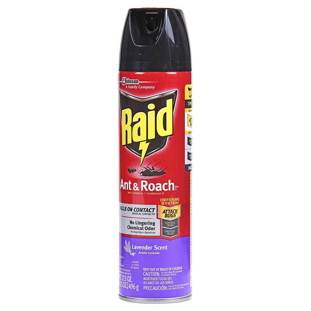 slide 2 of 8, Raid Ant and Roach Killer Indoor and Outdoor Insecticide Spray, Lavender Scent, 17.5oz, 17.5 oz