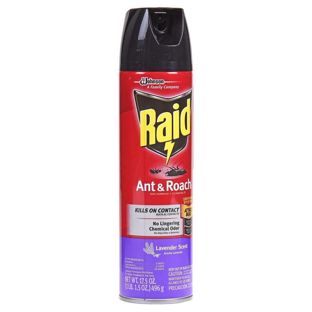 slide 7 of 8, Raid Ant and Roach Killer Indoor and Outdoor Insecticide Spray, Lavender Scent, 17.5oz, 17.5 oz