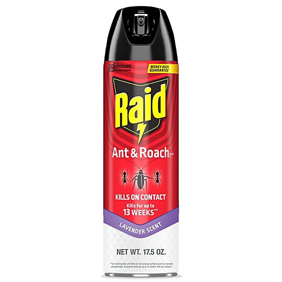 slide 1 of 3, Raid Lavender Scent Ant And Roach Killer Insecticide Aerosol Spray - 17.5 Oz, 17.5 oz