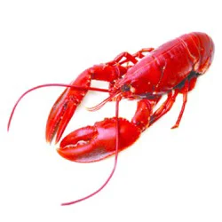 Lobster Whole 16 Oz Cooked Previously Frozen 1 Count - Each (Subject To Availability)