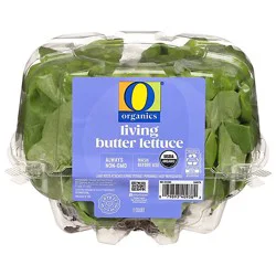 O Organics Living Butter Lettuce - Each