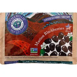 Stahlbush Island Farms Blackberries Marion - 10 Oz