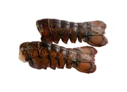 Lobster Tail Raw 14-16 Oz Previously Frozen 1 Count - Each