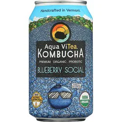 Aqua Vitea Kombucha Blueberry Social - 12 Fl Oz