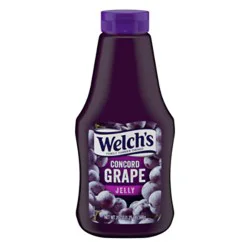 Welch's Concord Grape Jelly - 20 Oz