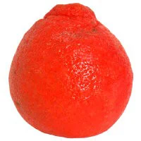 Mandarins Stem & Leaf