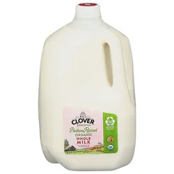 Clover Organic Whole Milk - Gallon