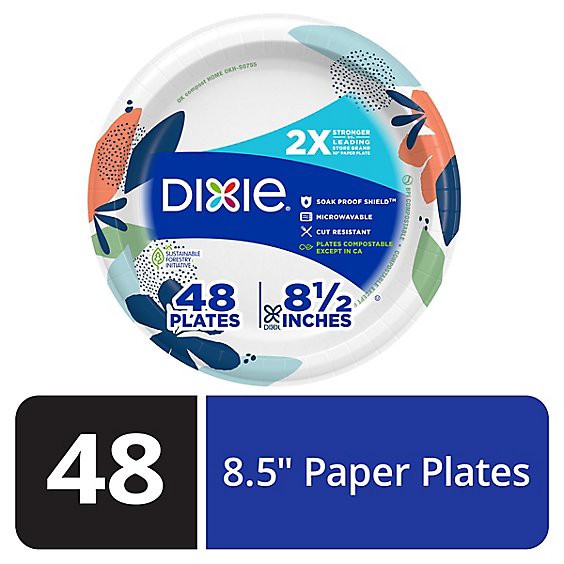 slide 1 of 2, Dixie Everyday Paper Plates Printed 8 1/2 Inch - 48 Count, 48 ct