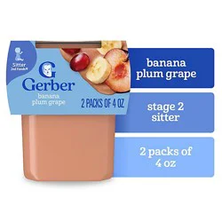 Gerber 2nd Foods Natural Banana Plum Grape Wonder Baby Food Tub - 2-4 Oz