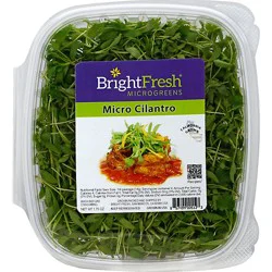 Brightfresh Micro Cilantro - 1.75 Oz