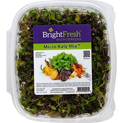 Brightfresh Micro Kale Mix - 1.75 Oz