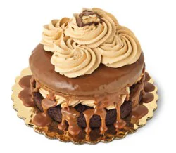 Bakery Cake Torte Dessert Chocolate Caramel - Each