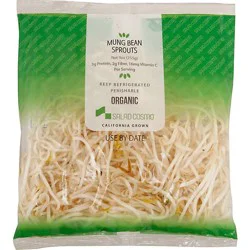 Organic Poly Bean Sprouts - 9 Oz