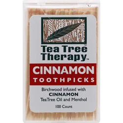 Teatr Toothpick Cinnamon - 100.0 Count