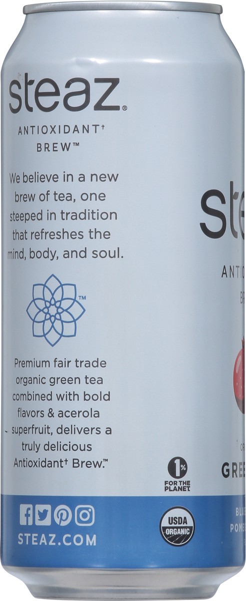 slide 7 of 13, Steaz Iced Green Tea Organic Blueberry Pomegranate - 16 Fl. Oz., 16 fl oz