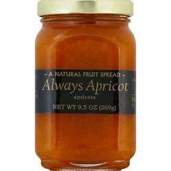 Mountain Fruit Co. Fruit Spread Always Apricot - 9.5 Oz