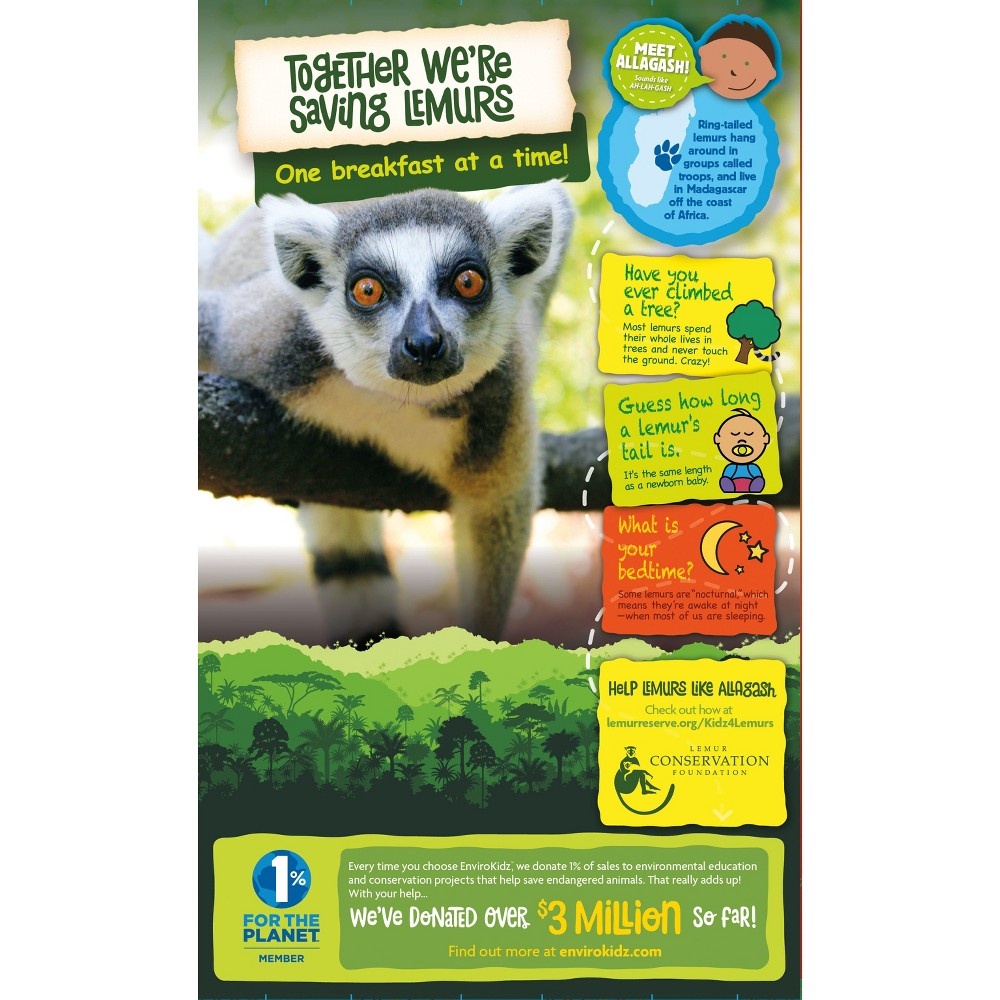 slide 4 of 4, EnviroKidz Nature's Path Organic Peanut Butter & Chocolate Leapin' Lemurs Breakfast Cereal, 