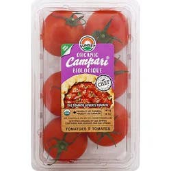 Sunset Organic Campari Tomatoes - 12 Oz