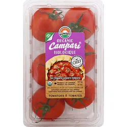 Sunset Organic Campari Tomatoes - 12 Oz