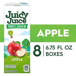 Juicy Juice Apple 100% Juice Box - 8-6.75 Fl. Oz.