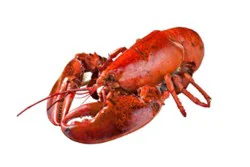 Lobster Whole 12 Oz Cooked Previously Frozen 1 Count - Each (Subject To Availability)