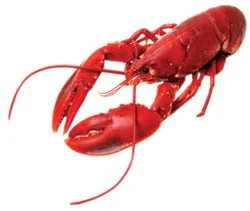 Lobster Whole 12 Oz Cooked Frozen 1 Count - Each (Subject To Availability)