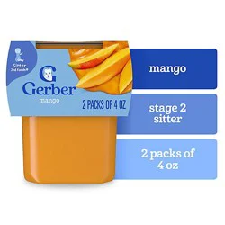 Gerber 2nd Foods Natural Mango Baby Food Tub - 2-4 Oz