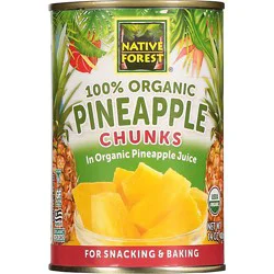 Native Forest Organic Pineapple Chunks - 14 Oz