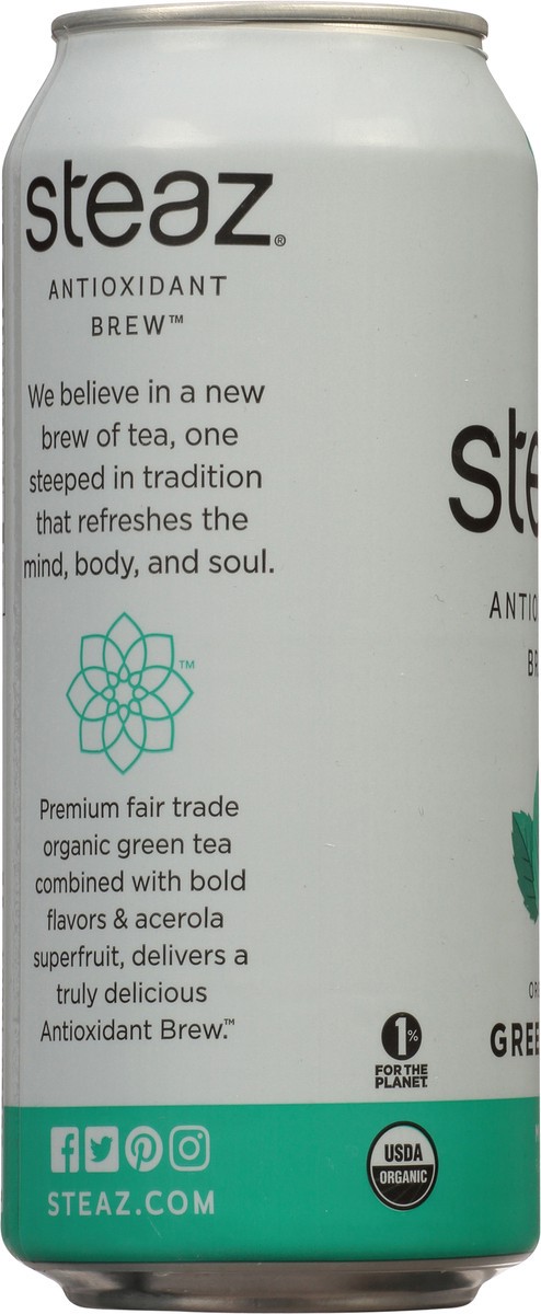 slide 3 of 12, Steaz Iced Green Tea Organic Lightly Sweetened Mint - 16 Fl. Oz., 16 fl oz