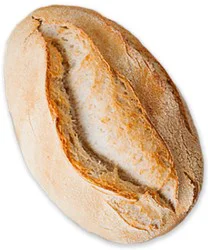 Bigwood Bread Ciabatta - Each