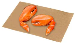 Lobster Claws Cooked Service Case - 1.5 Lb